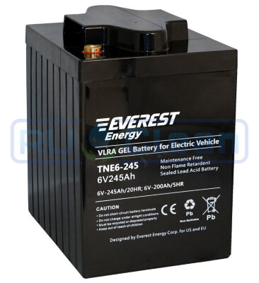 Тяговый аккумулятор Everest Energy TNE6-245 (200Ач, 6В, Gel)