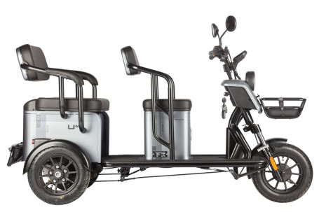 Трицикл электрический Wanshida UM+ (60V, 1000W, зеленый) (0000314-3099)