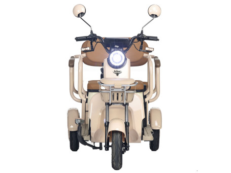 Трицикл электрический Rutrike Атлас (зеленый) (026353-3258)