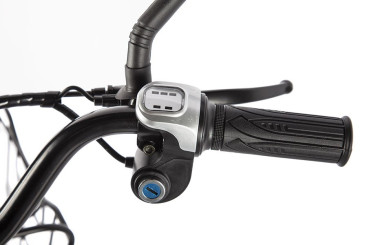 Электровелосипед GREEN CITY e-ALFA new (коричневый)