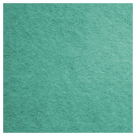 Салфетка TTS FREE-T (38х40см, зеленая, 1шт)