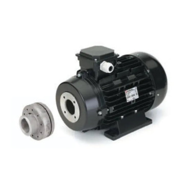 Электродвигатель Nicolini (22кВт, 380В, 1450об/мин, п.в.24мм, H160, с муфтой)