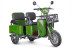 Трицикл электрический Rutrike Тубан (зеленый) (026351-3246)