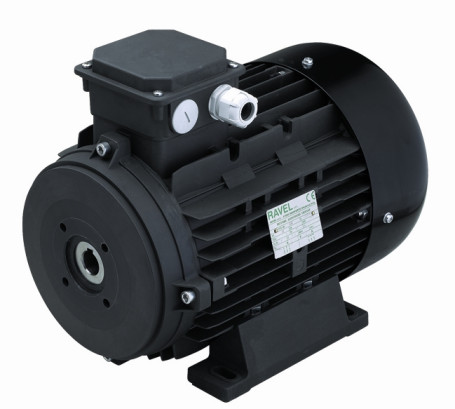 Электродвигатель RAVEL 1959A (15кВт, 380В, 1450об/мин, п.в. 24мм, H160S)