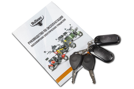 Трицикл электрический Rutrike Шкипер (зеленый)