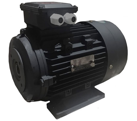 Электродвигатель TOR 112M-4-000 (5.5 кВт, 380В, 1450об/мин, полый вал-DS 1833А, H112)