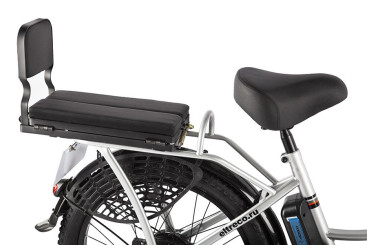 Электровелосипед GREEN CITY e-ALFA Fat (серебристый)