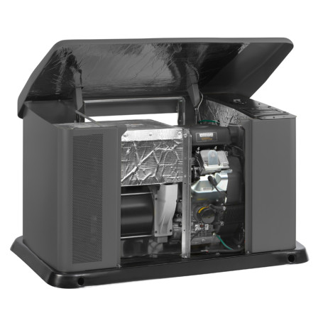 Генератор газовый B&amp;S Home Standby 11000