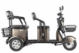 Трицикл электрический Rutrike Караван (коричневый)