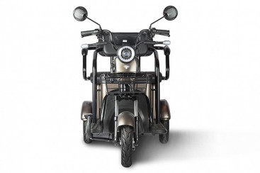 Трицикл электрический Rutrike Караван (коричневый)
