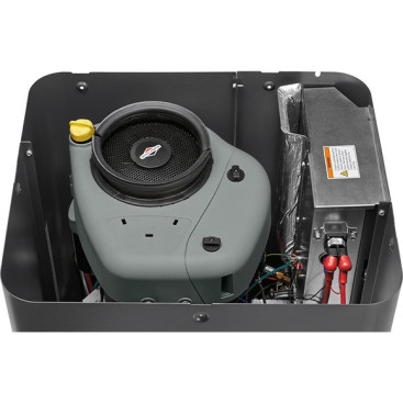 Генератор газовый B&S Home Standby 6000