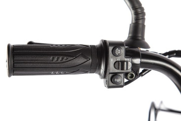 Электровелосипед GREEN CITY e-ALFA Fat (серый)