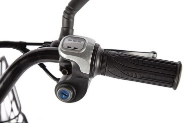 Электровелосипед GREEN CITY e-ALFA GL (коричневый)