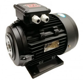 Электродвигатель TOR 14660 (5.5кВт, 380В, 1450об/мин, п.в. 24мм, Dфл 87мм, H112)