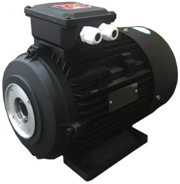 Электродвигатель TOR 14700 (9кВт, 380В, 1450об/мин, п.в. 24мм, Dфл 87мм, H132)