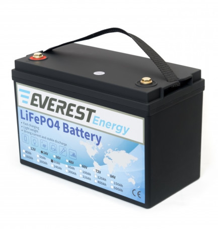 Тяговый аккумулятор Everest Energy (24В, 60Ач, LiFePO4, Bluetooth)