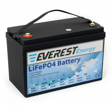 Тяговый аккумулятор Everest Energy (24В, 60Ач, LiFePO4, Bluetooth)