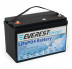 Тяговый аккумулятор Everest Energy (24В, 60Ач, LiFePO4, Bluetooth)