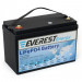Тяговый аккумулятор Everest Energy (24В, 60Ач, LiFePO4, Bluetooth)
