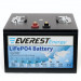 Тяговый аккумулятор Everest Energy (24В, 100Ач, LiFePO4, Bluetooth)