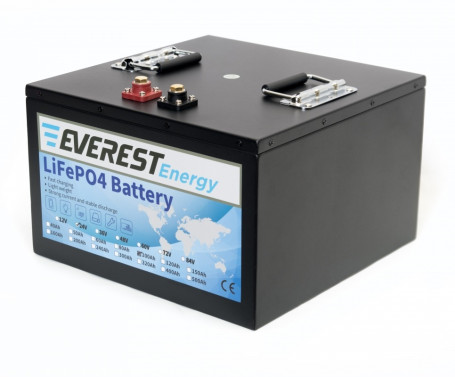 Тяговый аккумулятор Everest Energy (24В, 100Ач, LiFePO4, Bluetooth)