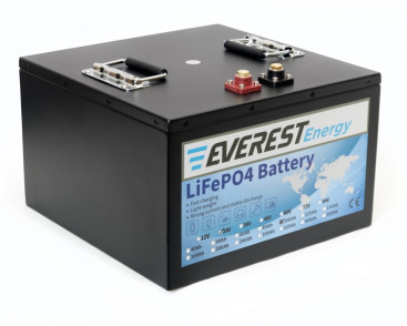 Тяговый аккумулятор Everest Energy (24В, 100Ач, LiFePO4, Bluetooth)