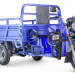 Трицикл электрический Rutrike Эксперт ПРО 2000 (темно-синий)