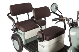 Трицикл электрический Rutrike Gelbert Beta (48/60V, 800W, сереребристо-белый)