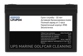 Тяговый аккумулятор Challenger LFP (24В, 65Ач, LiFePO4)