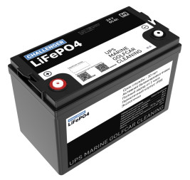 Тяговый аккумулятор Challenger LFP (24В, 65Ач, LiFePO4)