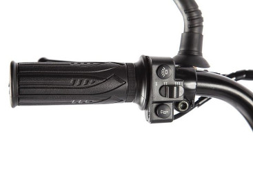 Электровелосипед GREEN CITY e-ALFA LUX (красный)