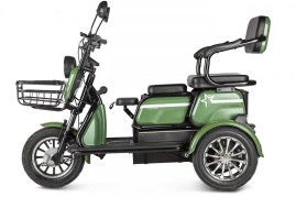 Трицикл электрический Rutrike Пилот (зеленый)