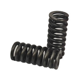 Пружина клапана Bertolini (APR-40/280)