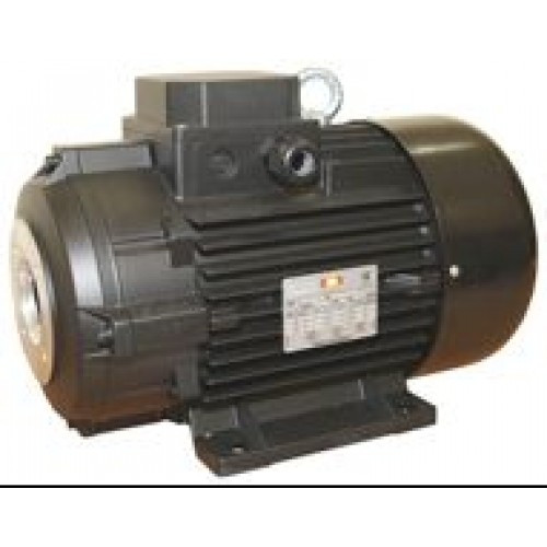 Электродвигатель EME TP 112 L4 1 (муфта)