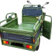 Трицикл электрический Rutrike Вояж-П 1200 60V800W (зеленый, трансформер)