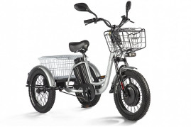 Трицикл электрический Eltreco Porter Fat 500 (серебристый)