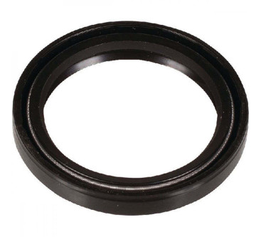 Сальник коленвала Bertolini (CK110-220P/PP)