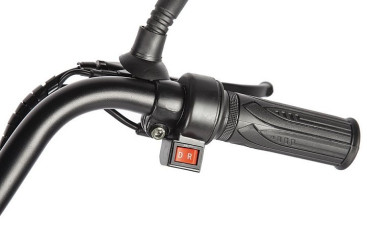 Трицикл электрический Eltreco Porter Fat 500 (черный)