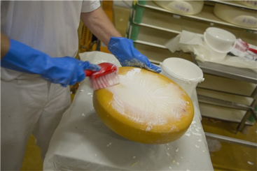 Щетка Vikan (27см, красный)