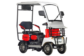 Трицикл электрический Rutrike Gelbert Lich(48/60V, 600W, красный)