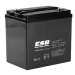Тяговый аккумулятор ESB HTL6-210 (210Ач, 6В, Gel)
