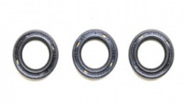 Ремкомплект Bertolini KIT146 (сальн. плунжеров, RAL)