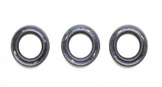 Ремкомплект Bertolini KIT146 (сальн. плунжеров, RAL)