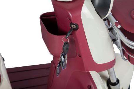 Трицикл электрический Rutrike Gelbert Mercury (48/60V, 650W, бело-красный) (0000265-3050)