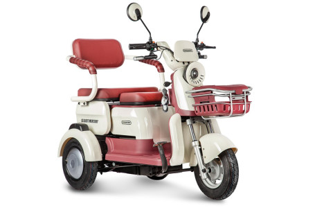 Трицикл электрический Rutrike Gelbert Mercury (48/60V, 650W, бело-красный) (0000265-3050)