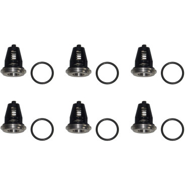 Ремкомплект клапанов IPG KIT62