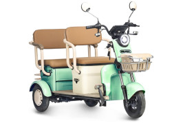 Трицикл электрический Rutrike Gelbert Atlas 48V/60V 600Вт (зеленый)