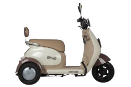 Трицикл электрический Rutrike Gelbert Ogma (48/60V, 650W, бело-красный)