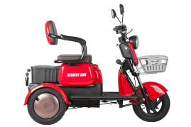 Трицикл электрический Rutrike Gelbert Sun (48/60V, 650W, зелено-белый)