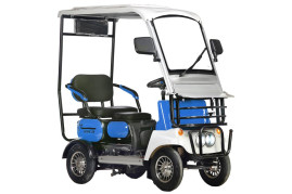 Трицикл электрический Rutrike Gelbert Lich 48V/60V 600Вт (синий)